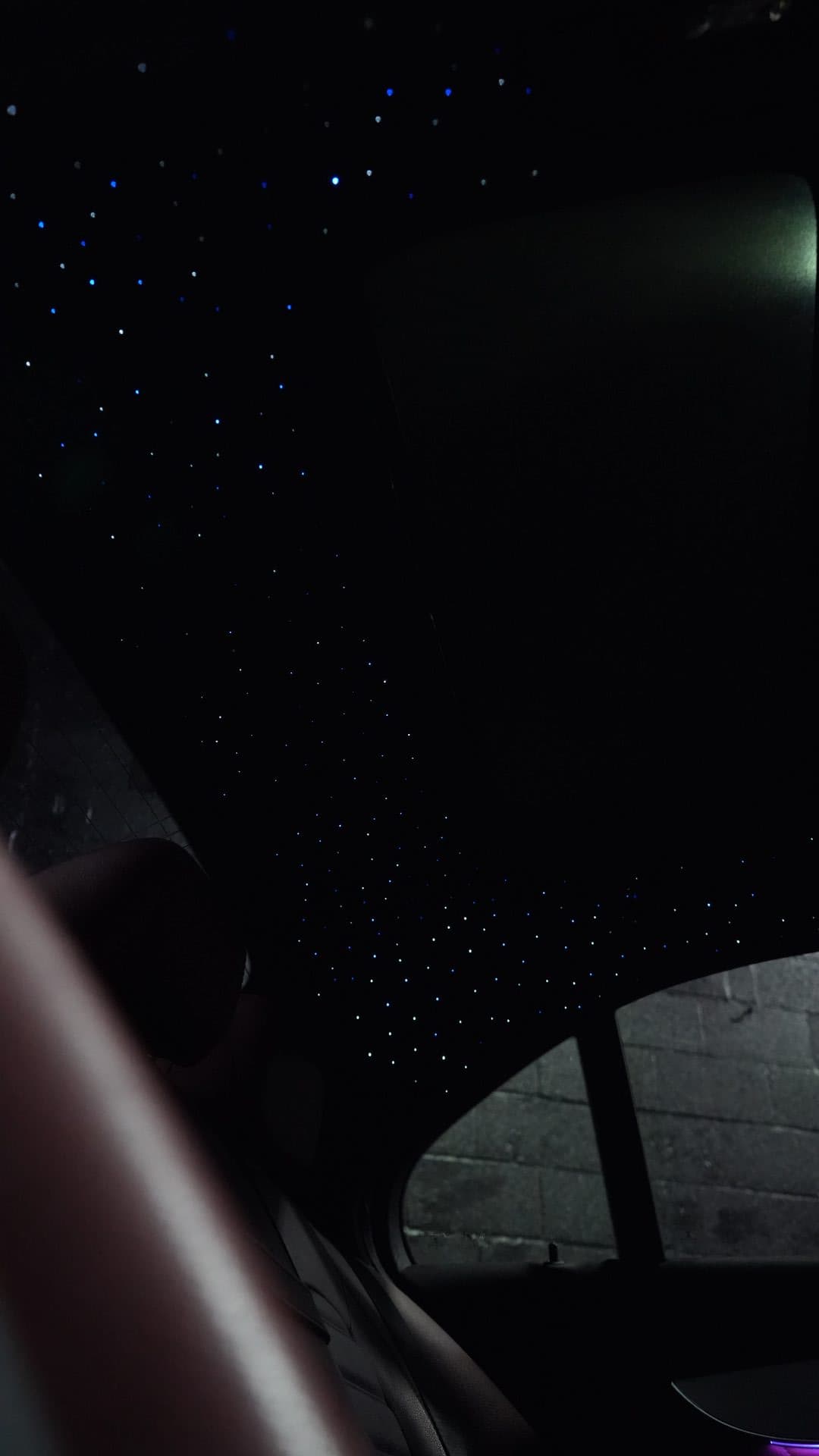Starlight headliner — full ceiling, hundreds of stars